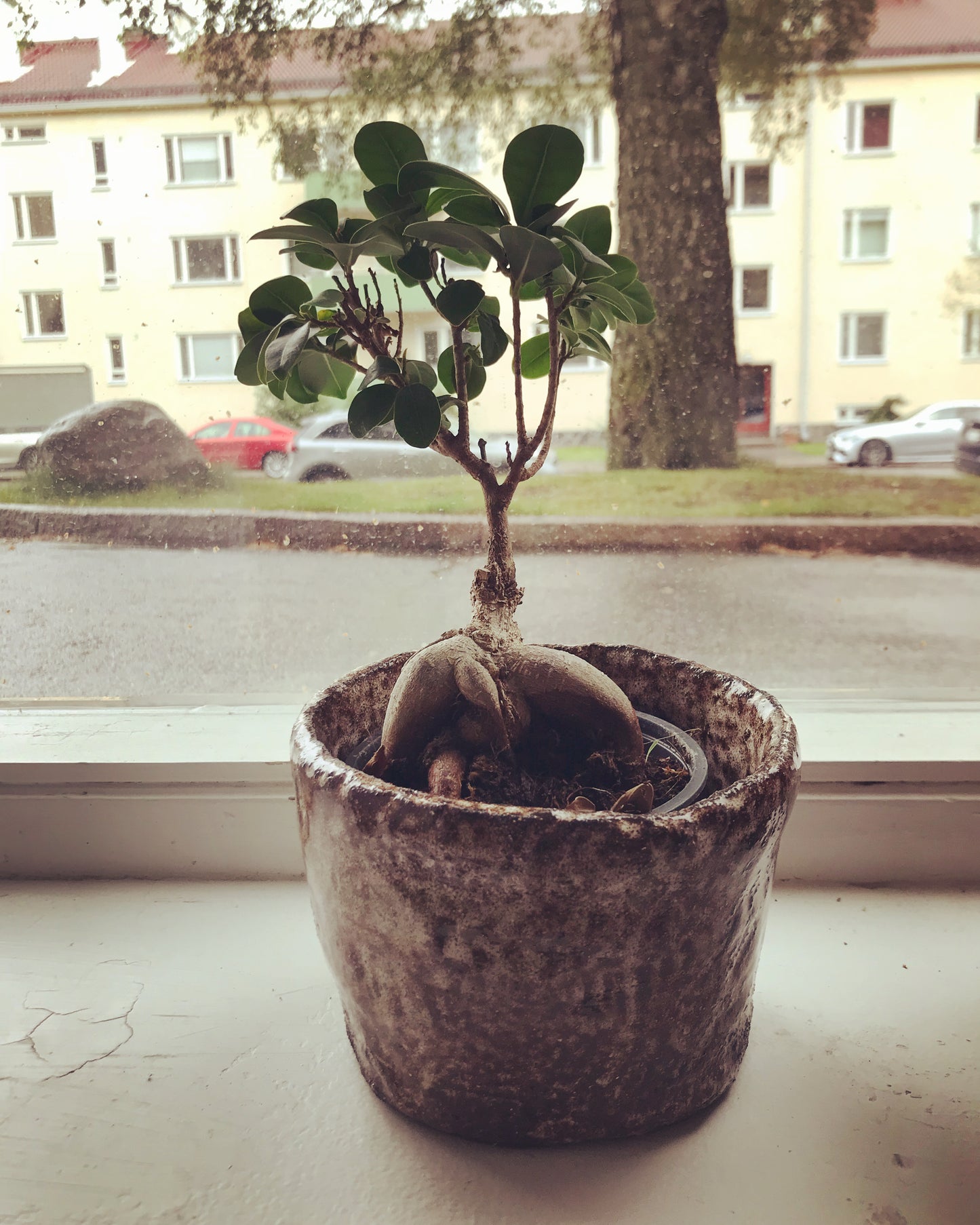 korvteknik kruka i Leera keramikstudio