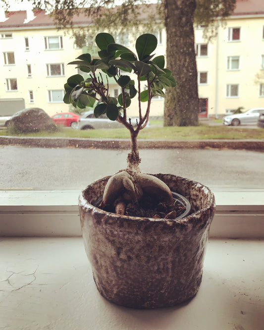 korvteknik kruka i Leera keramikstudio